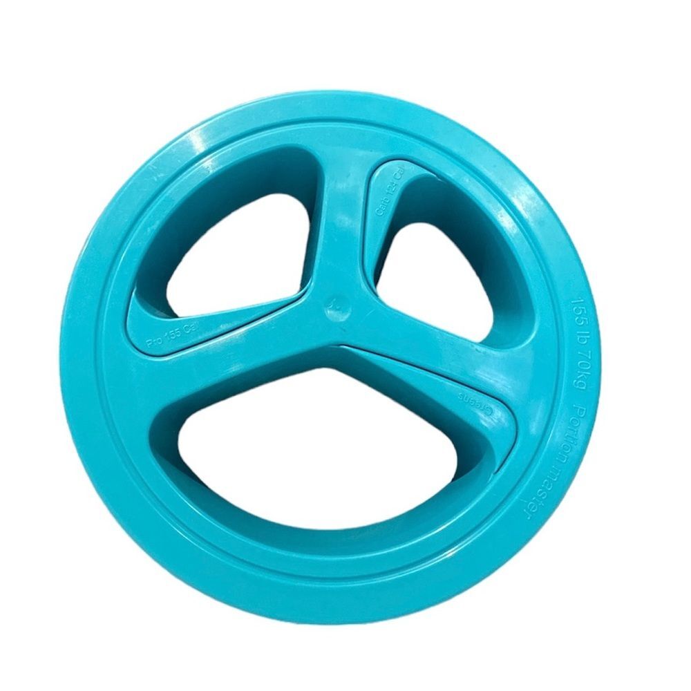 Blue Portion Control Food Divider